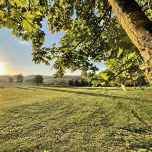 FW_2_Sonnenaufgang_Baum_1600